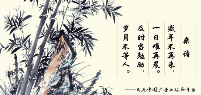 辦公室風(fēng)水擺件，助你事業(yè)風(fēng)生水起